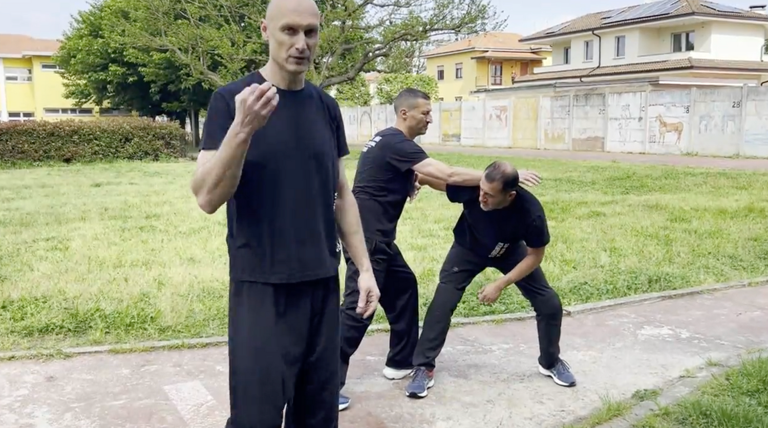 IPPKM Krav Maga DVD by Alberto Merlo