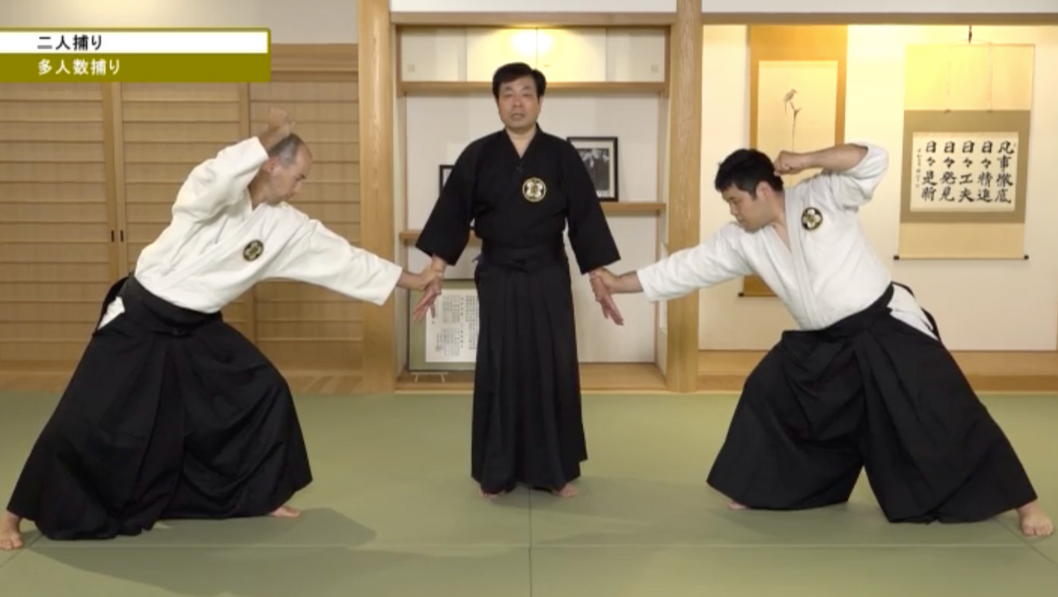 Aiki from Kodo Horikawa #2 Applications & Secrets of Aiki DVD by Tadashi Nomoto