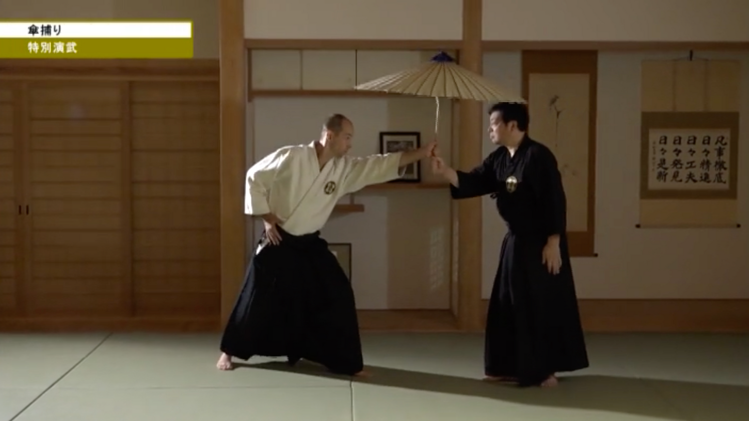 Aiki from Kodo Horikawa #2 Applications & Secrets of Aiki DVD by Tadashi Nomoto