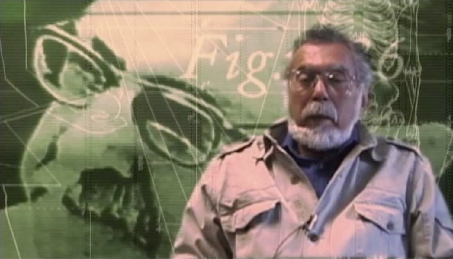 Magical Egypt Season One - Three 20 DVD Set by John Anthony West