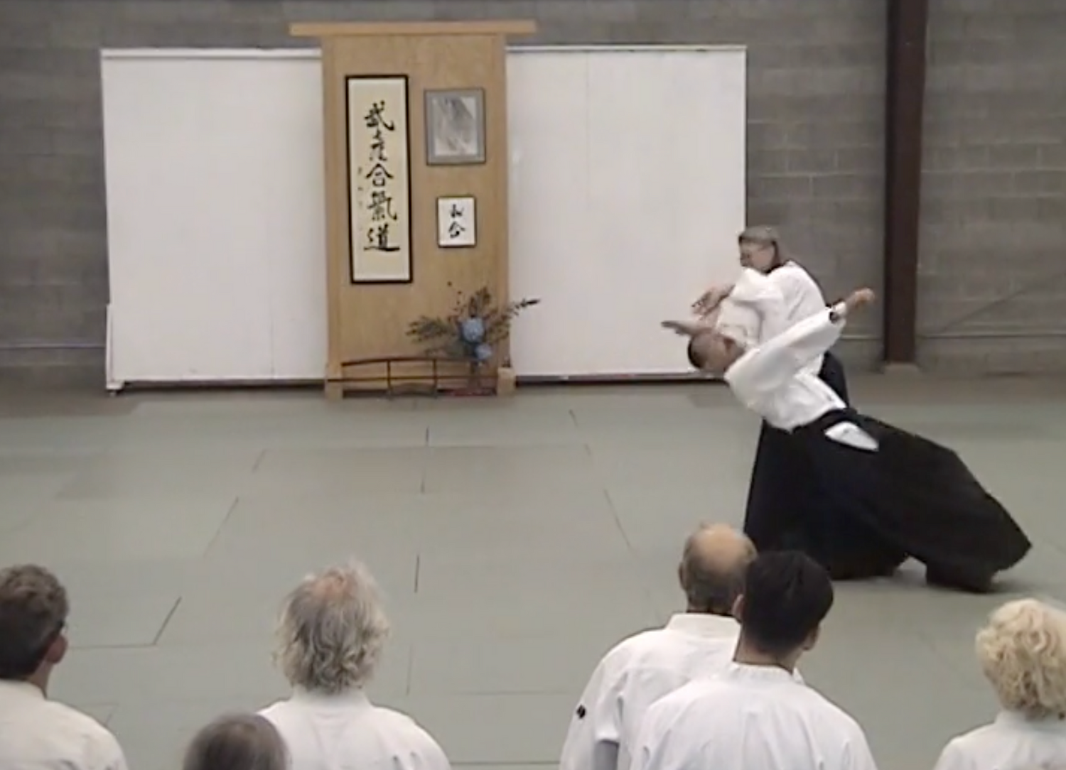 The Aikido Unity Seminar DVD with Hiroshi Ikeda & Mary Heiny (Preowned)