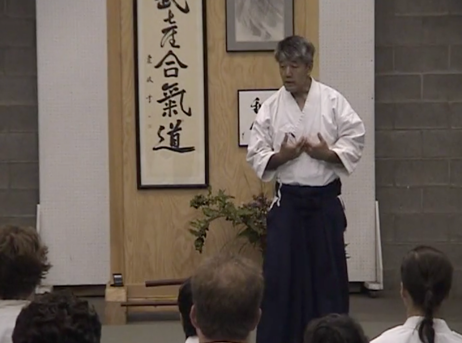 The Aikido Unity Seminar DVD with Hiroshi Ikeda & Mary Heiny (Preowned)
