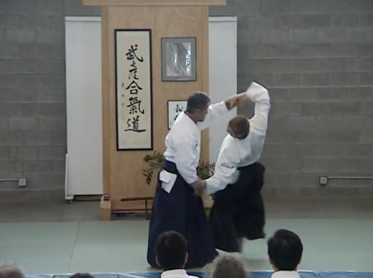 The Aikido Unity Seminar DVD with Hiroshi Ikeda & Mary Heiny (Preowned)