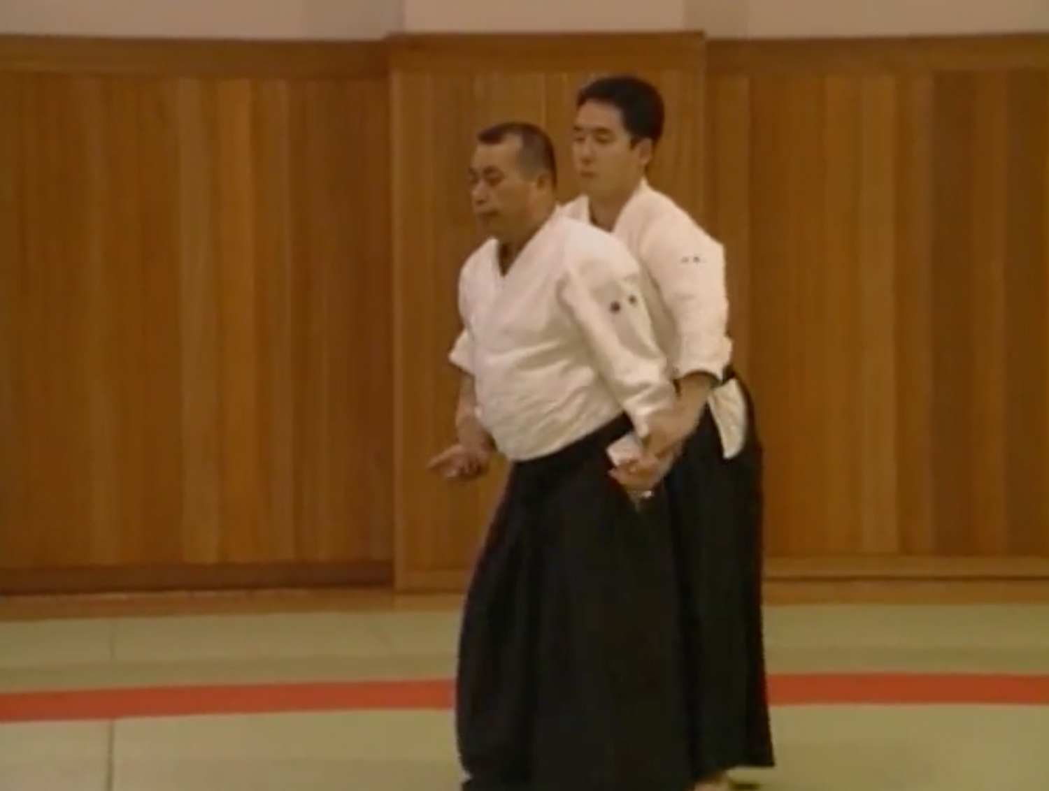 Shin Shin Toitsu Aikido 30th Anniversary DVD by Iwao Tamura (Preowned)
