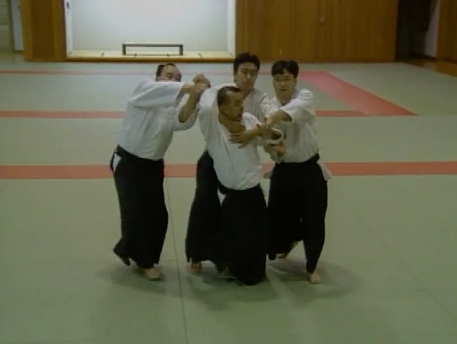 Shin Shin Toitsu Aikido 30th Anniversary DVD by Iwao Tamura (Preowned)
