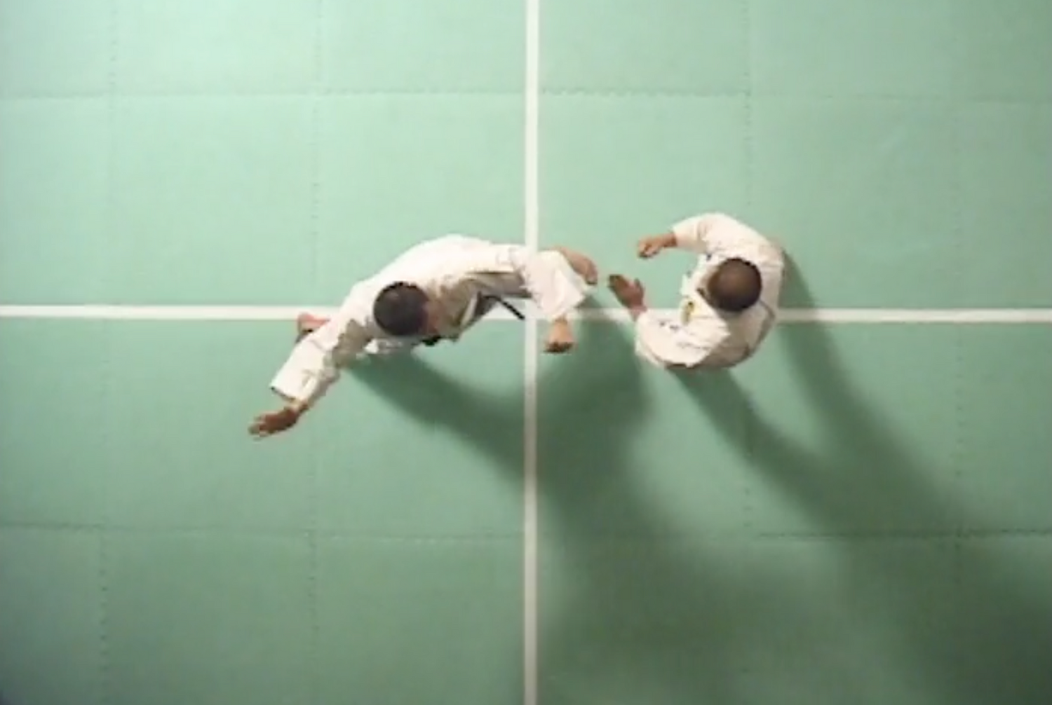 Shorinji Kempo: Ken Zen Ichinyo Special DVD (Preowned)