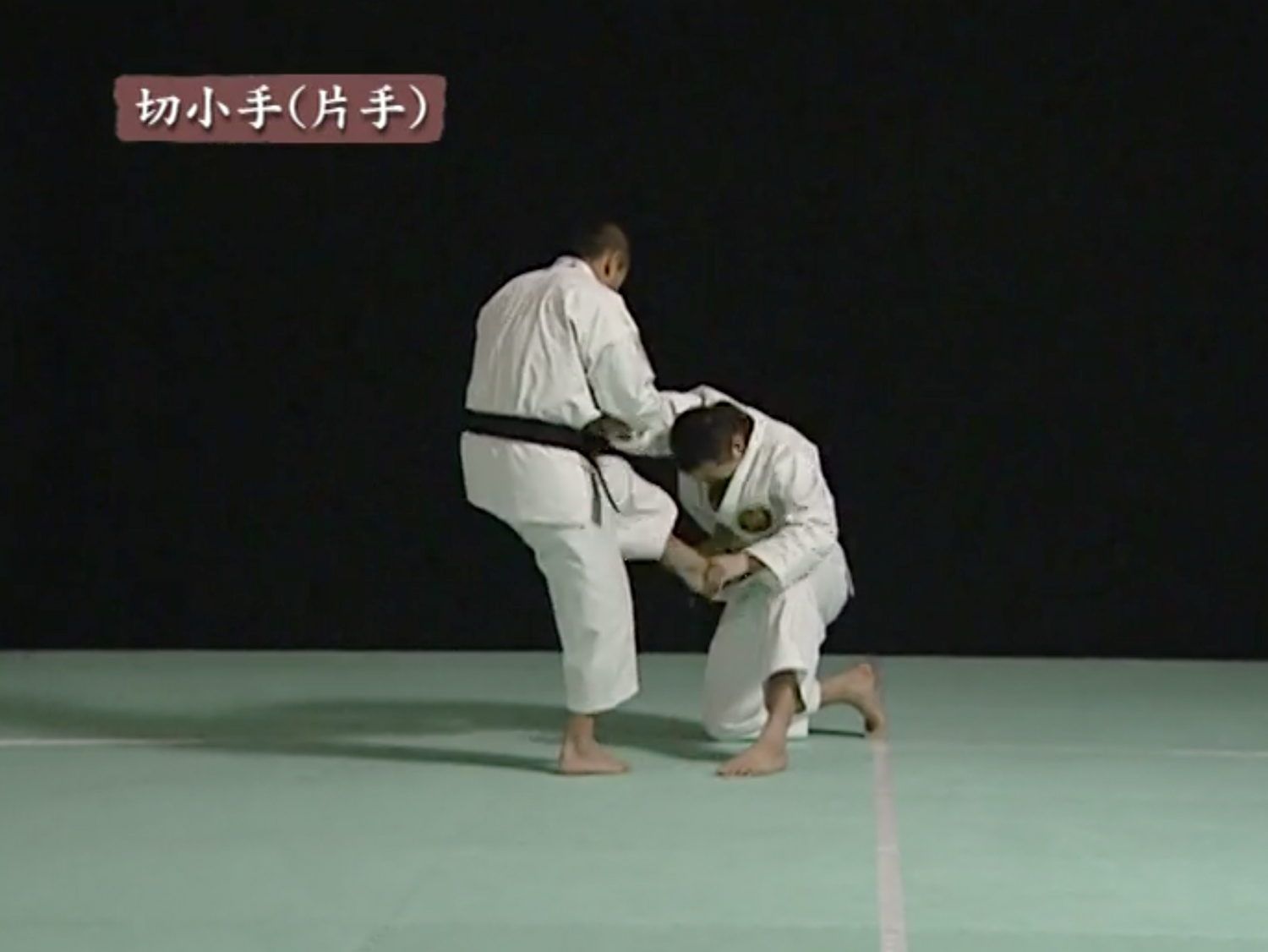 Shorinji Kempo: Ken Zen Ichinyo Special DVD (Preowned)