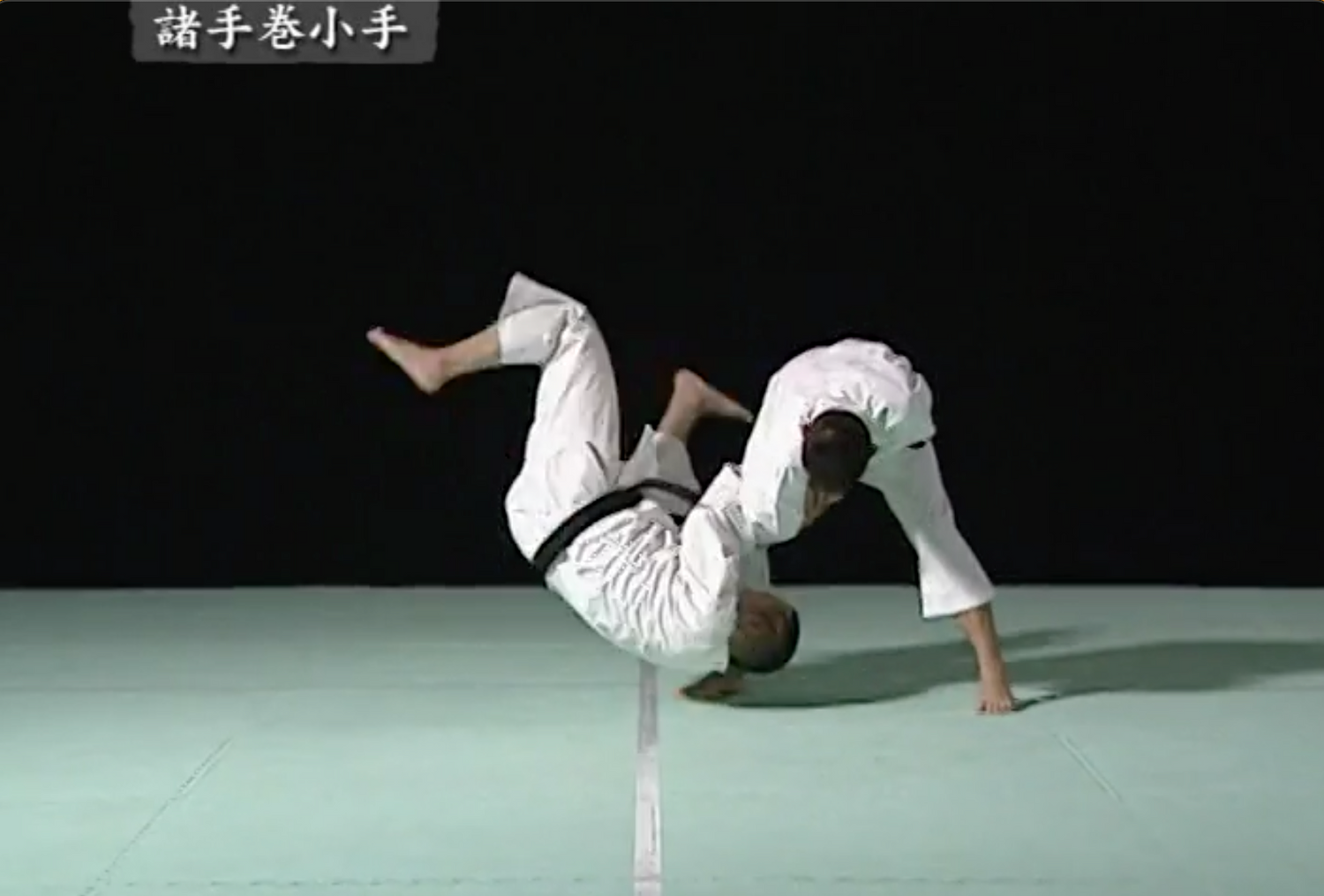 Shorinji Kempo: Ken Zen Ichinyo Special DVD (Preowned)