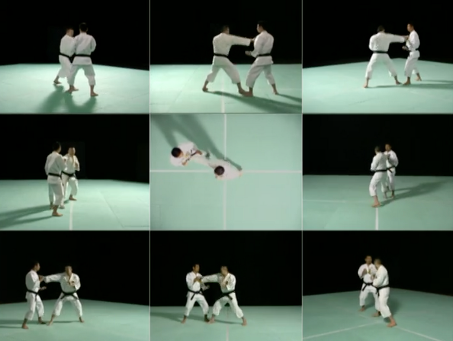 Shorinji Kempo: Ken Zen Ichinyo Special DVD (Preowned)