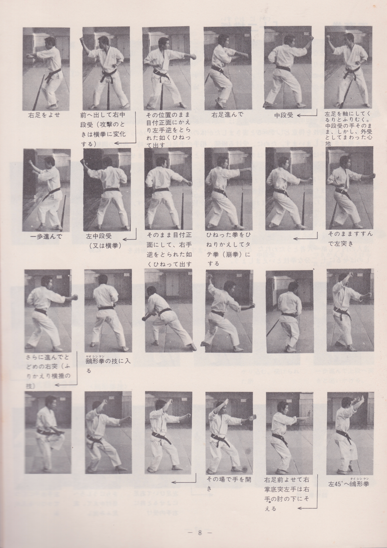 Chinese Martial Arts Wu Bu Quan (Five Stance Form) 3 Month Correspondence Course Book (Preowned)