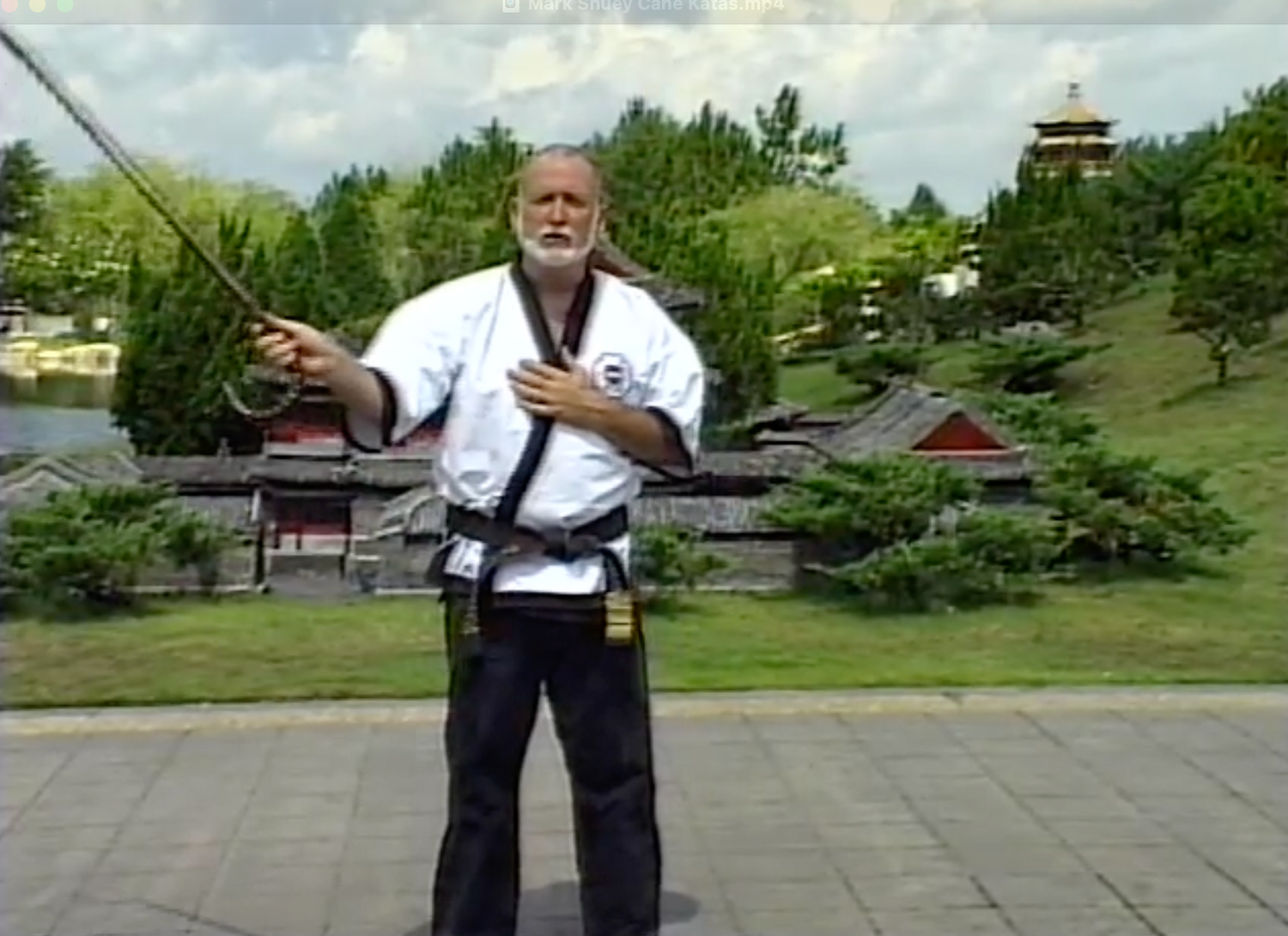 Cane Kata by Mark Shuey (On Demand)