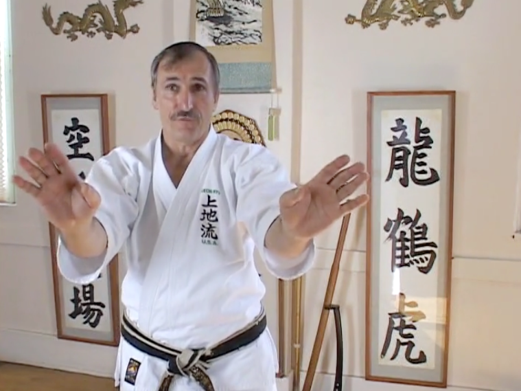 Uechi Ryu Karate Vol 2 Building Blocks DVD by Ihor Rymaruk