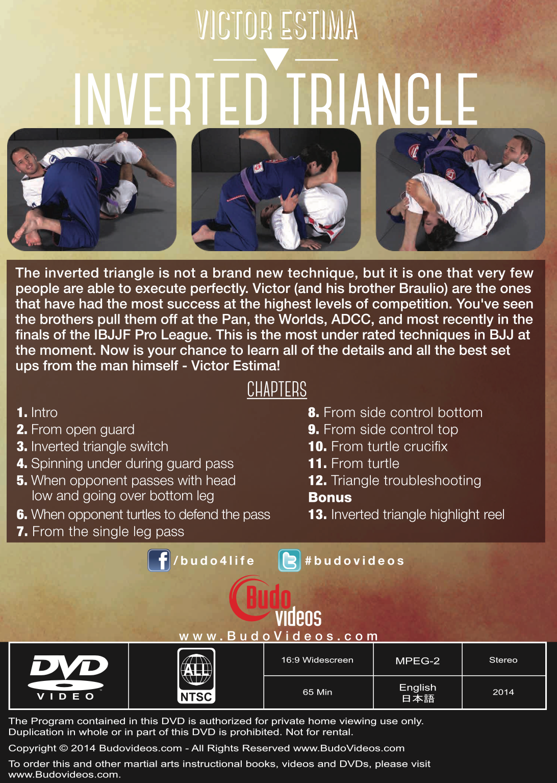 Inverted Triangle DVD by Victor Estima