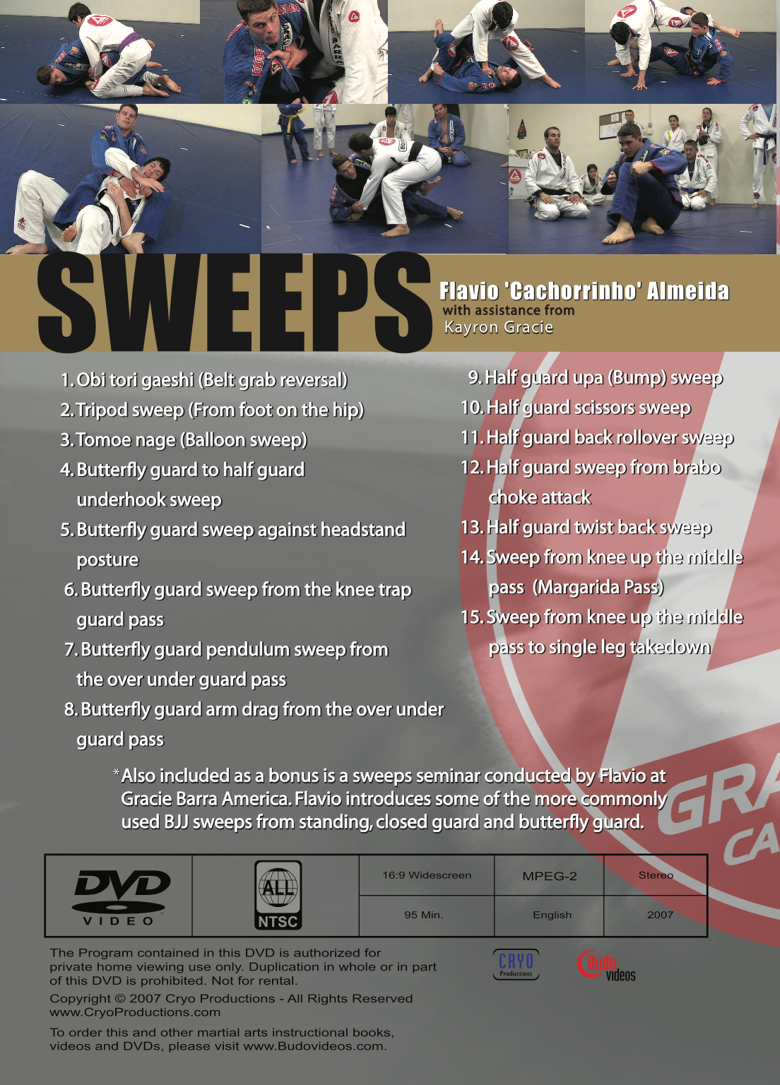 BJJ Sweeps DVD by Flavio Almeida