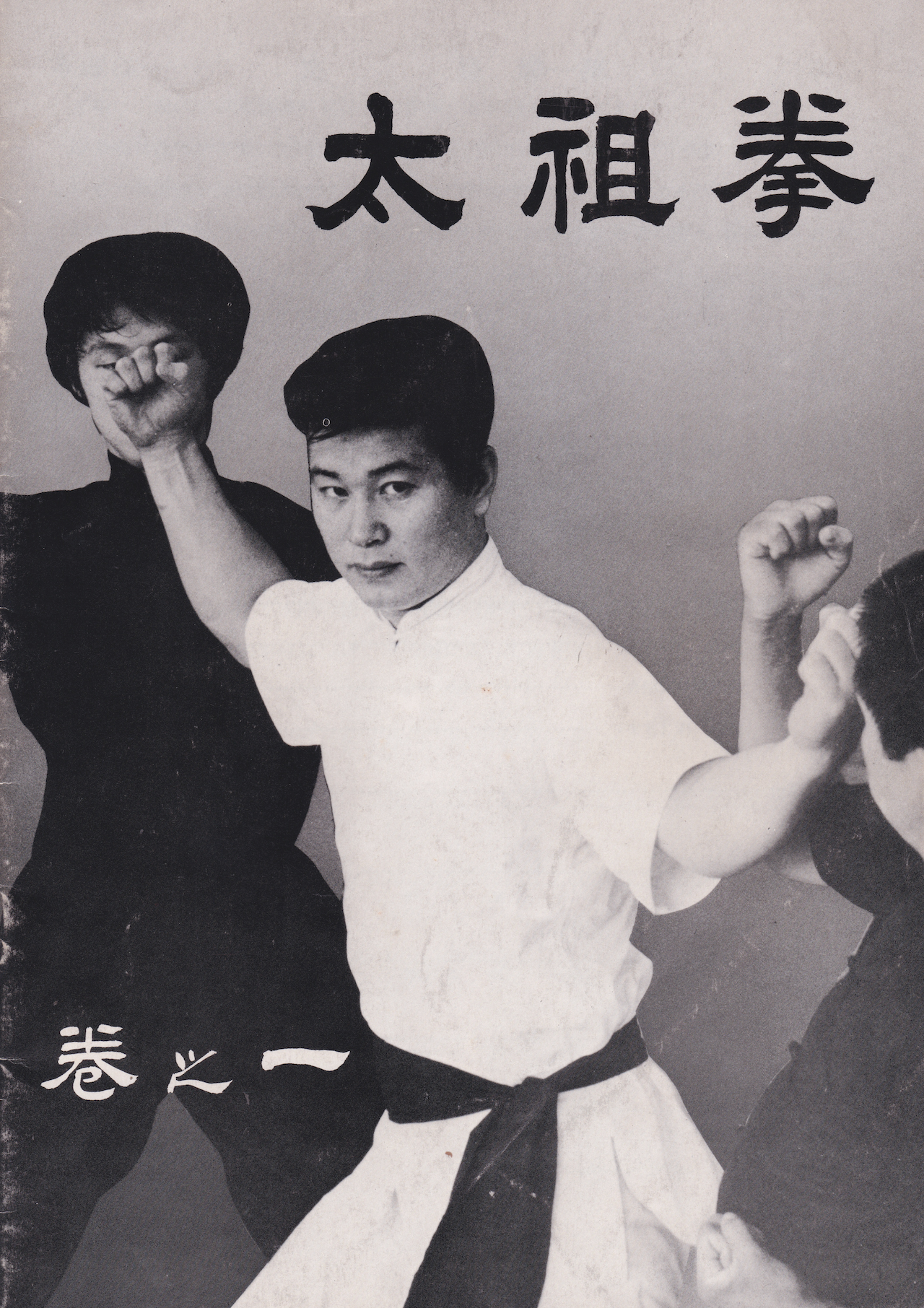 Great Ancestor Fist (Taizu Quan) 5 Book Set by Tadahiko Ohtsuka (Preowned)