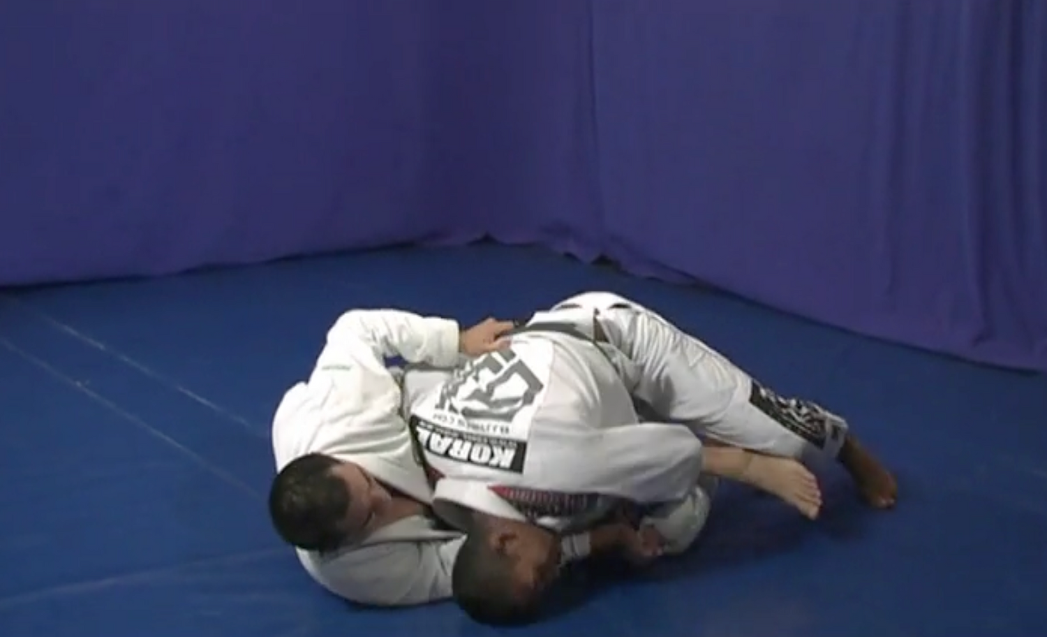 Jacare 2 DVD Set by Ronaldo Jacare Dos Santos (Preowned)