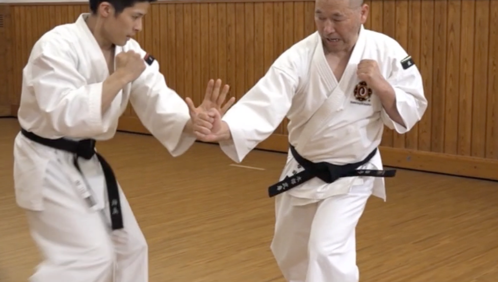 Mandatory Martial Arts in Japan Junior High Schools 3 DVD Set