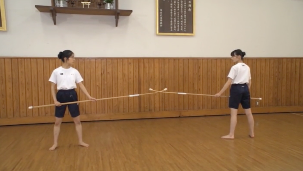 Mandatory Martial Arts in Japan Junior High Schools 3 DVD Set