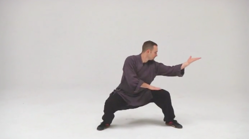 Shaolin Secret Techniques Jin Gang Ba Shi DVD by Bruno Tombolato