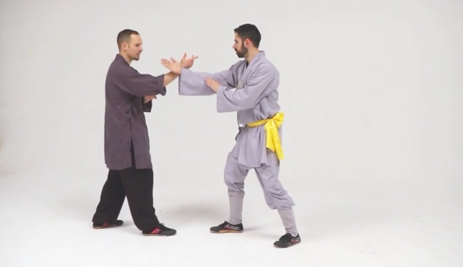 Shaolin Secret Techniques Jin Gang Ba Shi DVD by Bruno Tombolato