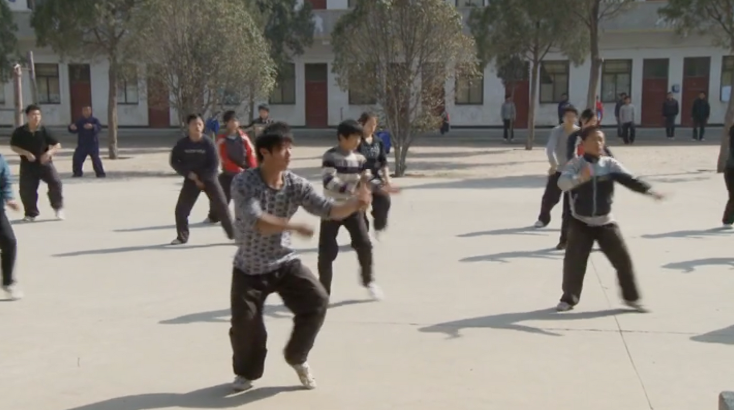 Chen Village Tai Chi Documentary DVD
