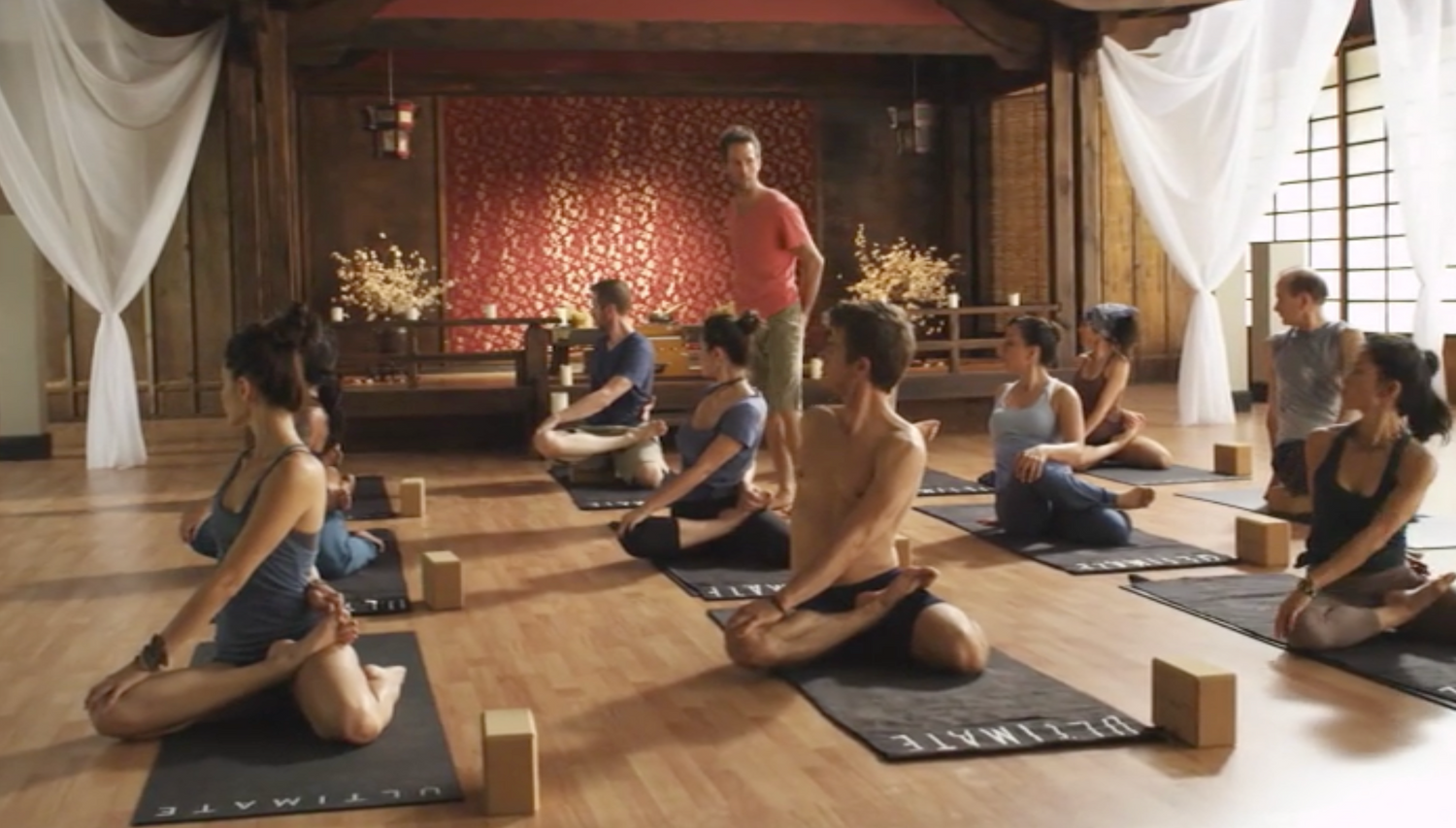 The Ultimate Yogi 12 DVD Set with Travis Eliot (Preowned)