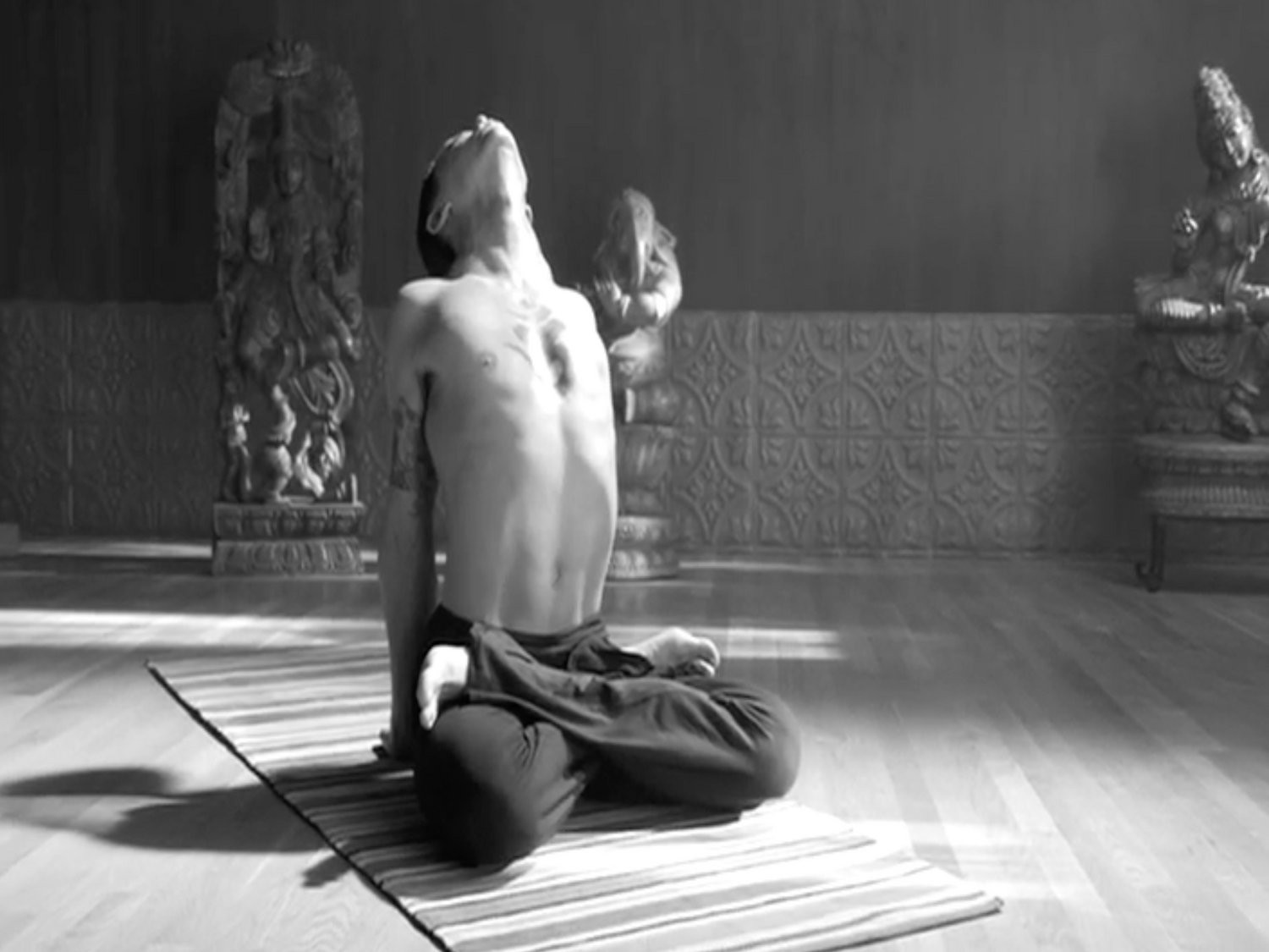 Yogic Arts Source Power DVD by Duncan Wong