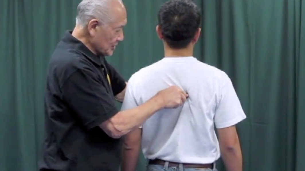 Koga SD1 for Law Enforcement & Corrections DVD by Robert Koga