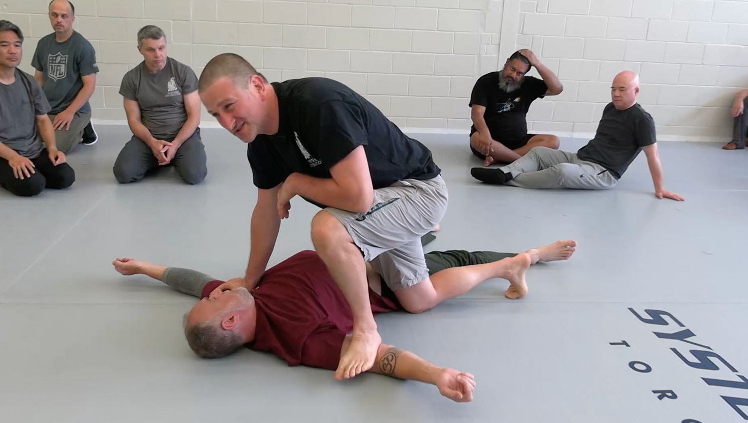 Systema Sensitivity & Strength for Massage DVD by Kevin Juliano