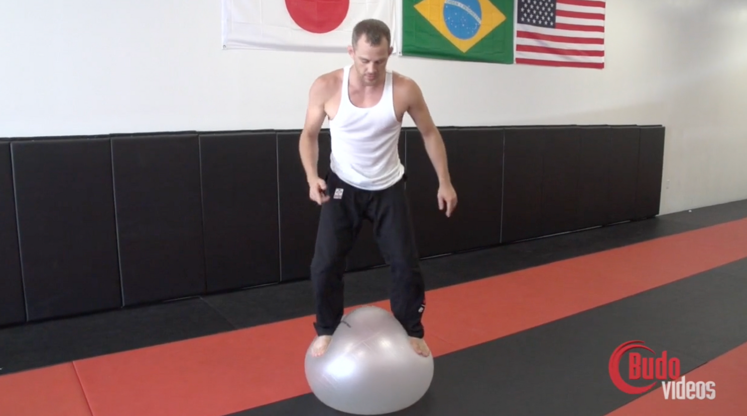 My Favorite NoGi Techniques DVD by Jeff Glover