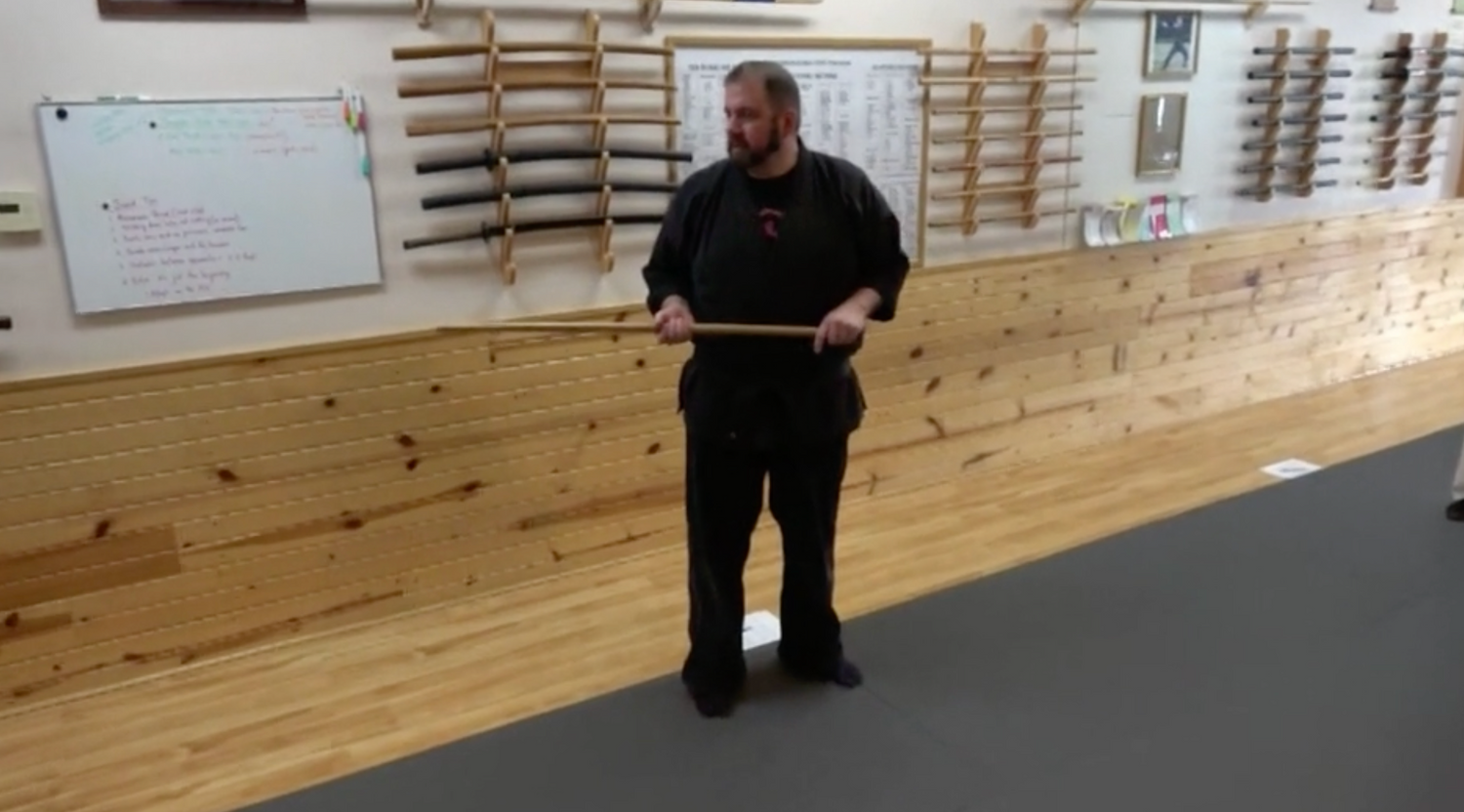 Advanced Kenjutsu DVD by Todd Norcross