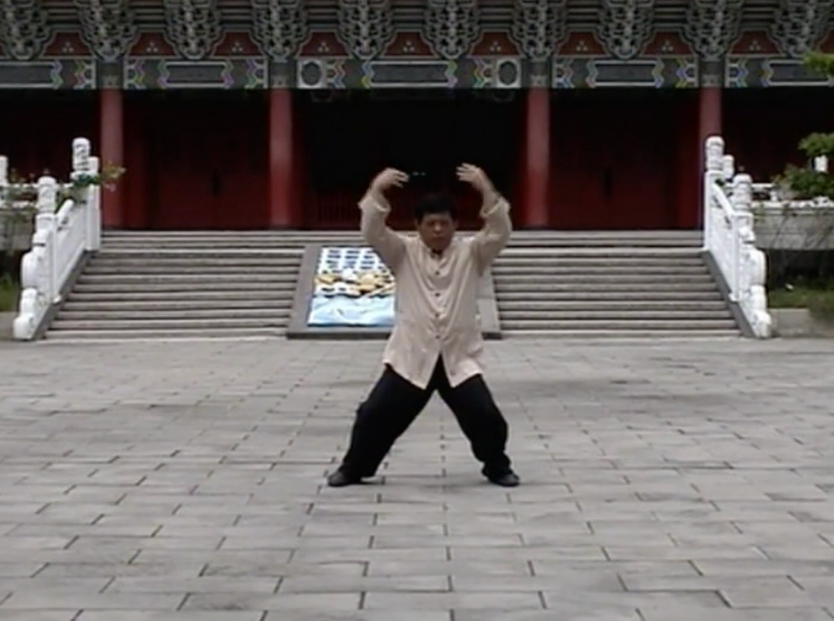 Feeding White Crane Kung Fu by Liu Chang-Yi (On Demand)