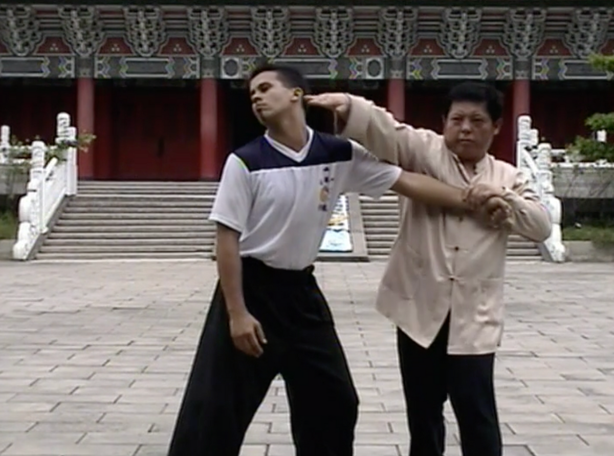 Feeding White Crane Kung Fu by Liu Chang-Yi (On Demand)
