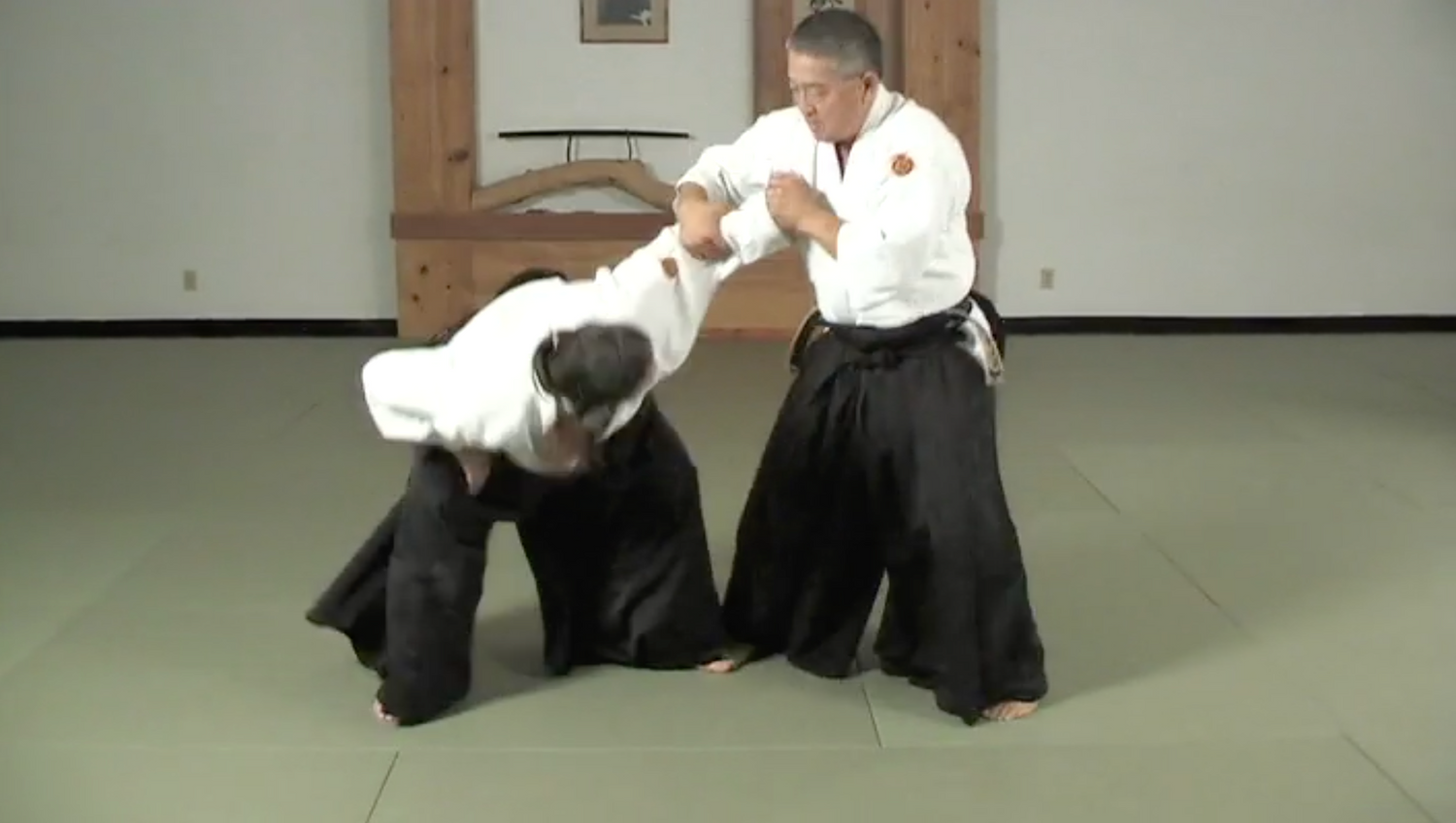 Aikido to BJJ DVD with Derek Nakagawa & Marcio Feitosa