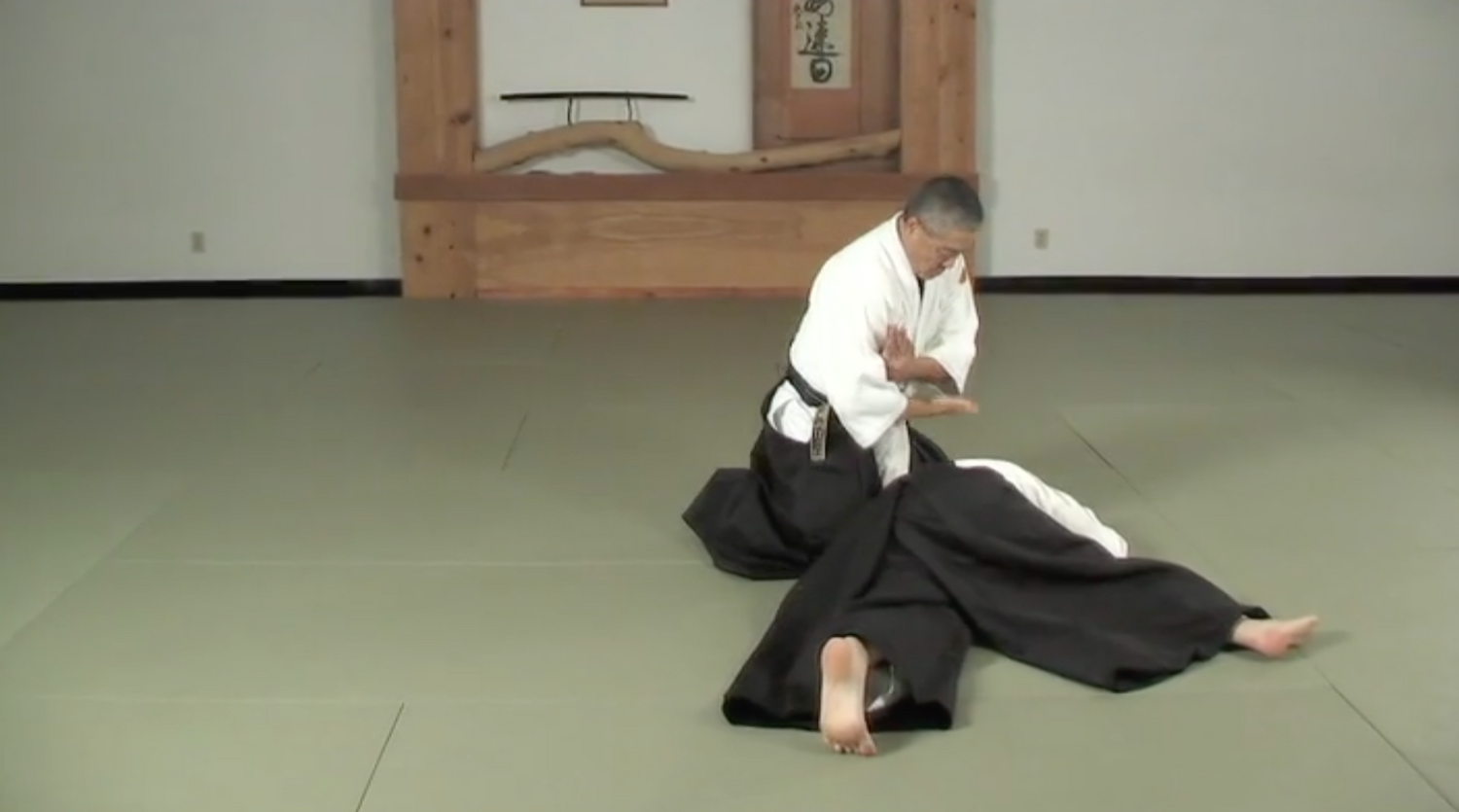 Aikido to BJJ DVD with Derek Nakagawa & Marcio Feitosa