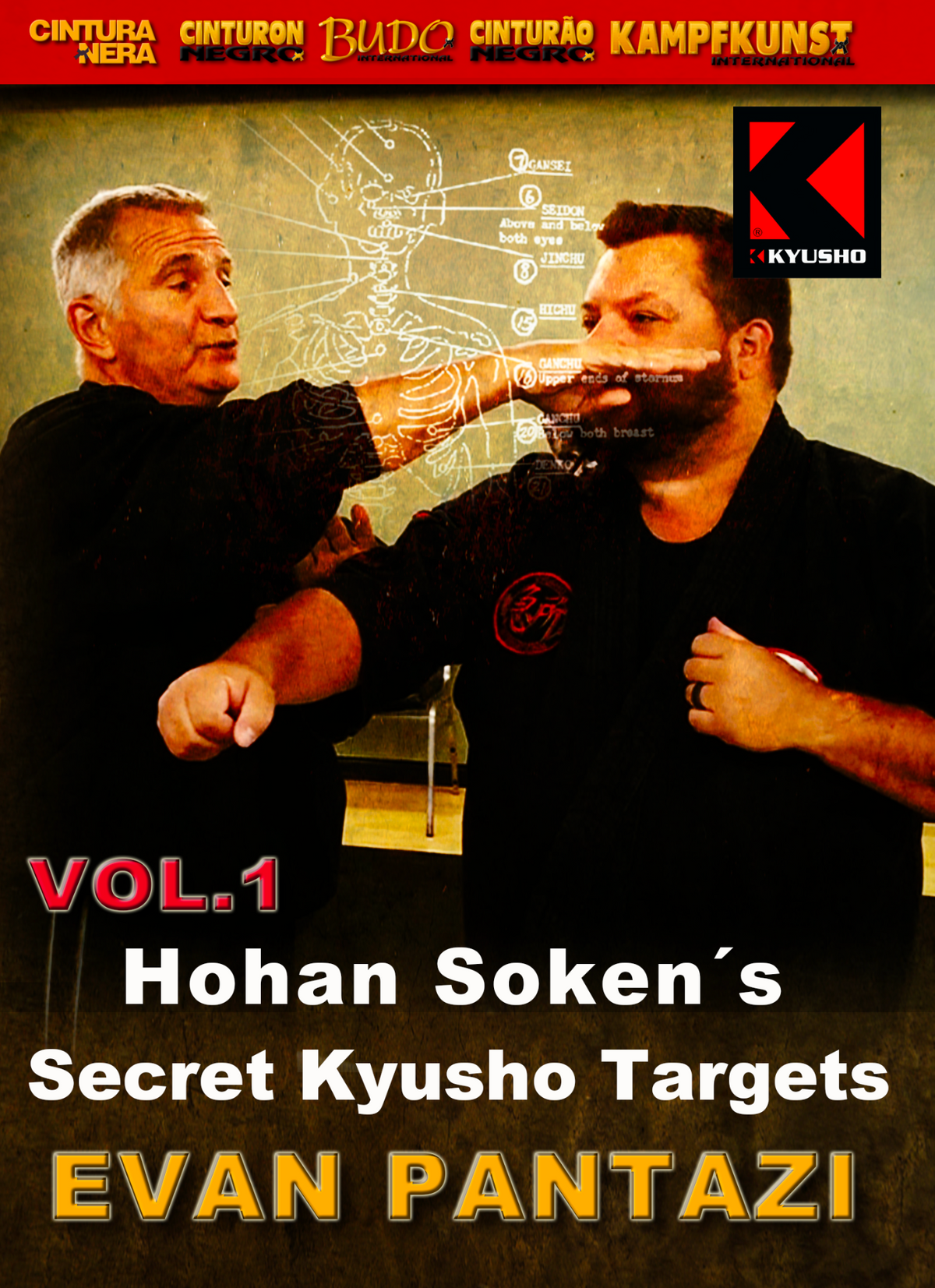 Secret Kyusho Targets of Hohan Soken DVD 1 with Evan Pantazi