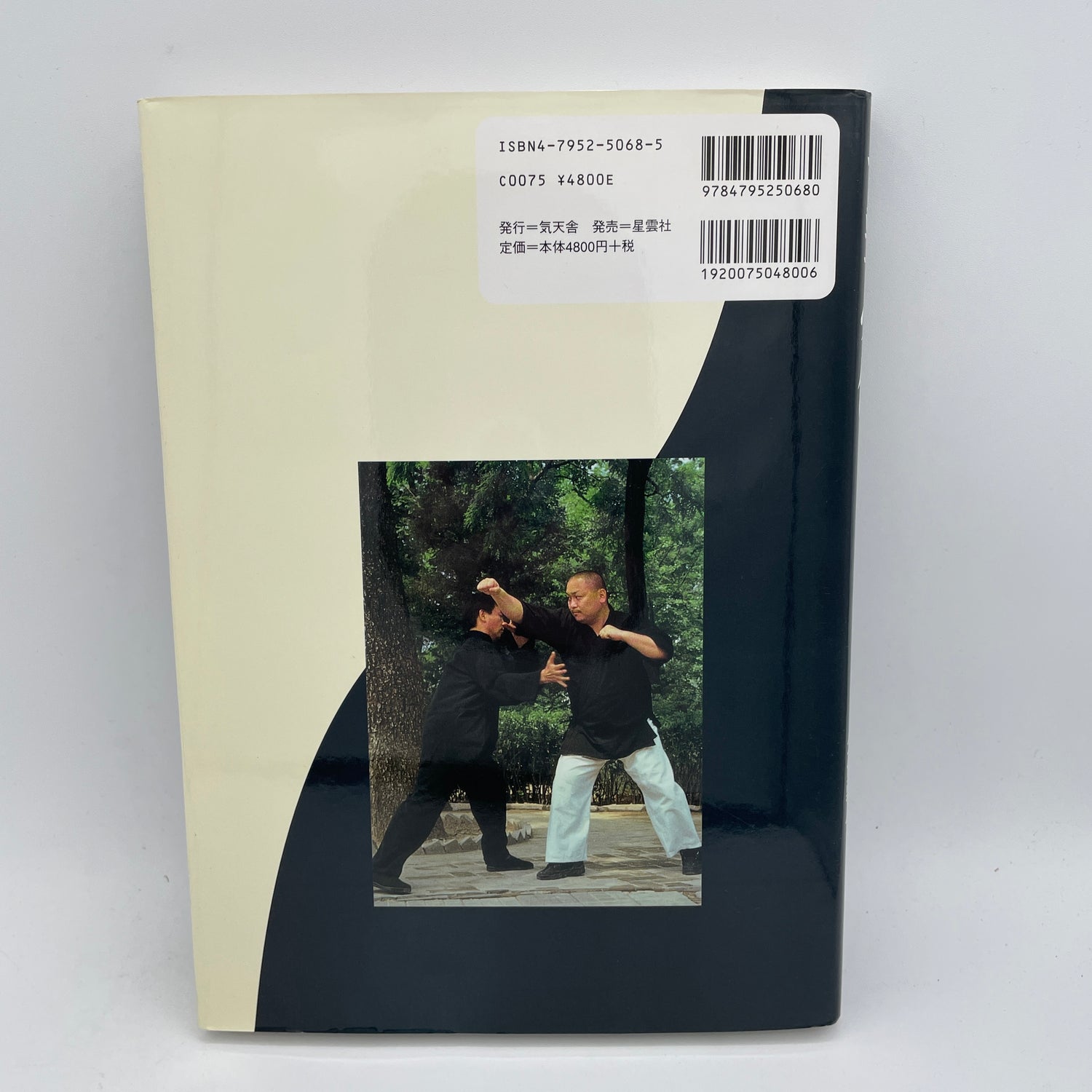 Secret Techniques of Yiquan & Taikiken Book by Yao Chengguang & Kubo Isato (Hardcover)