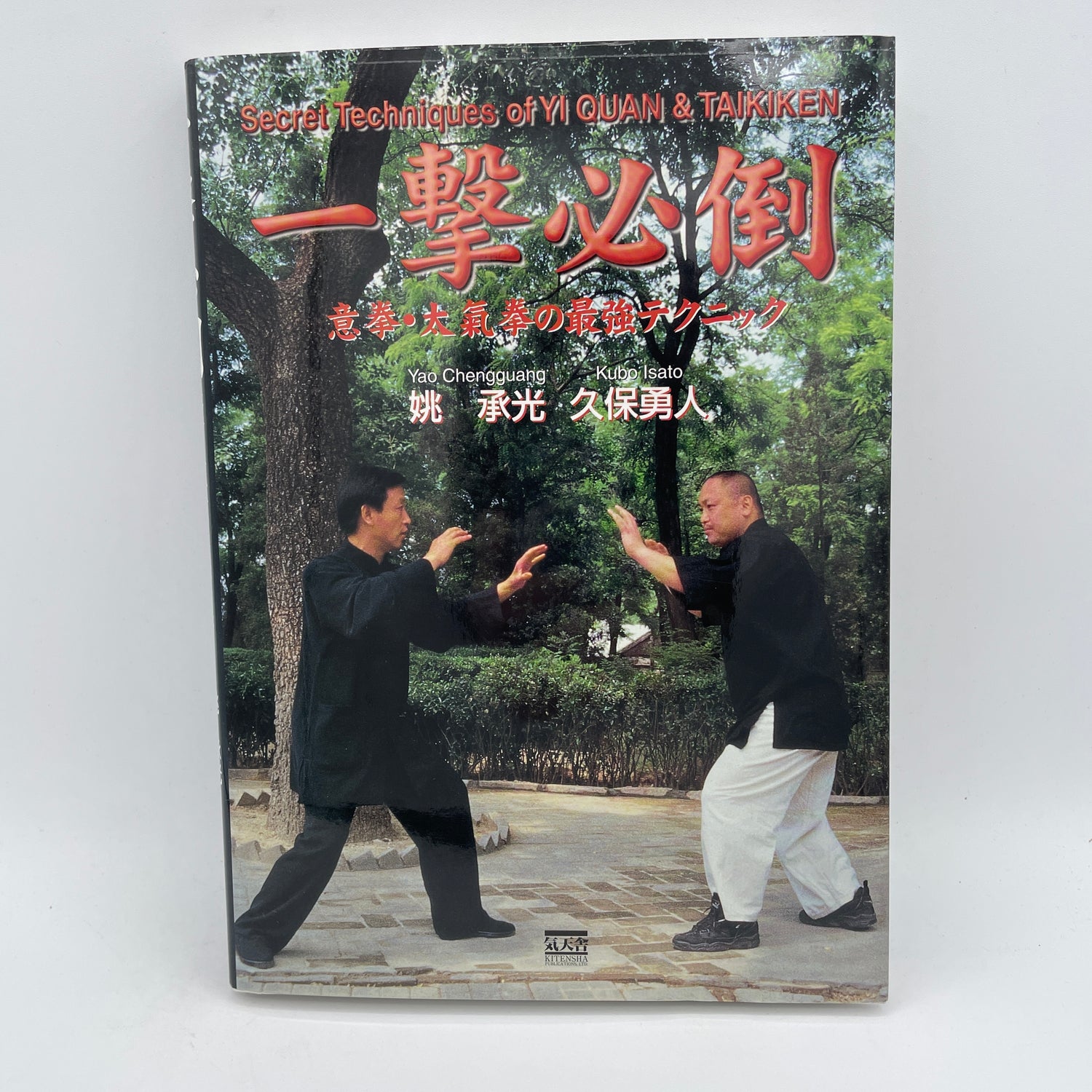 Secret Techniques of Yiquan & Taikiken Book by Yao Chengguang & Kubo Isato (Hardcover)