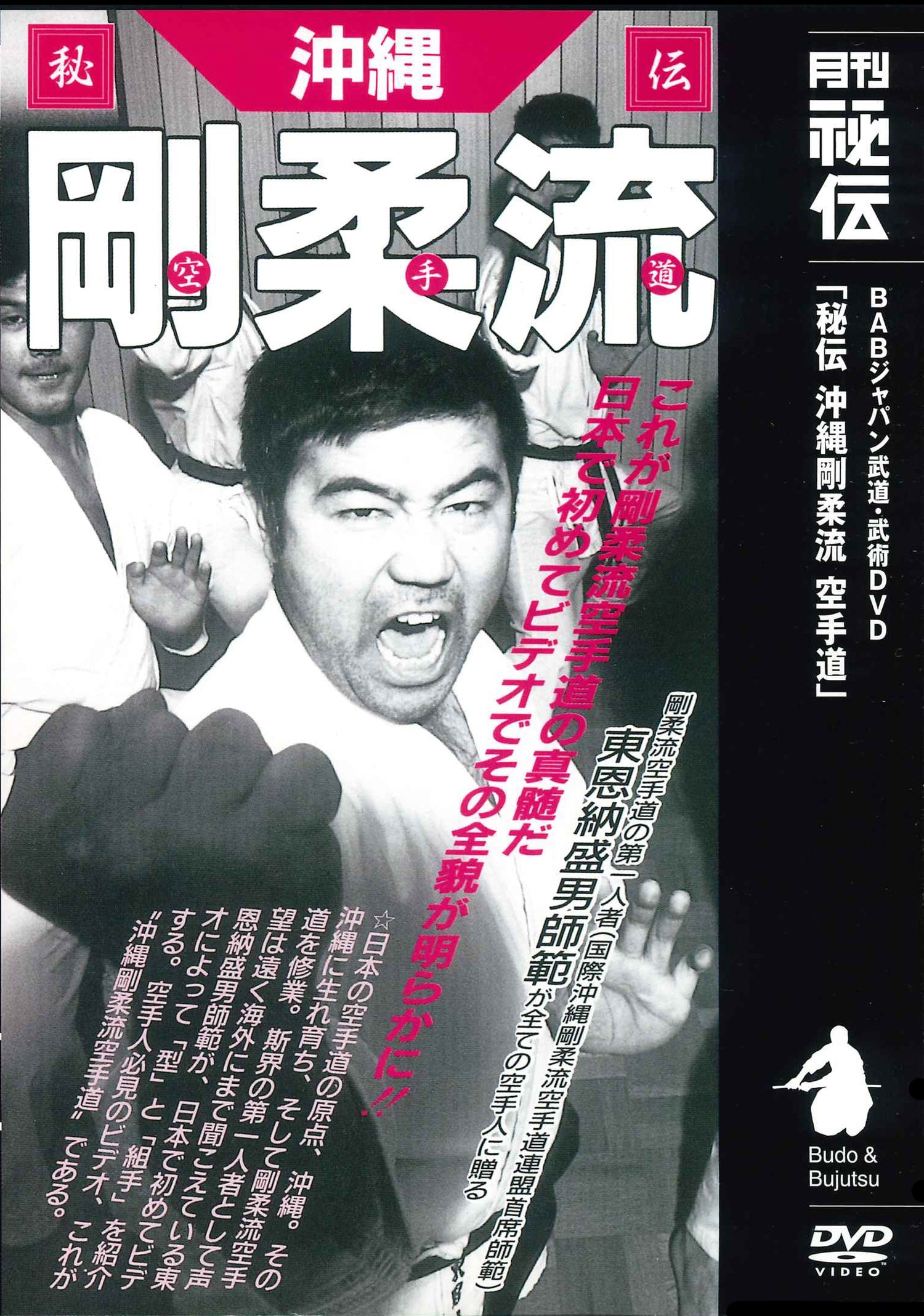 Secrets of Okinawan Goju Ryu Karate DVD with Morio Higaonna