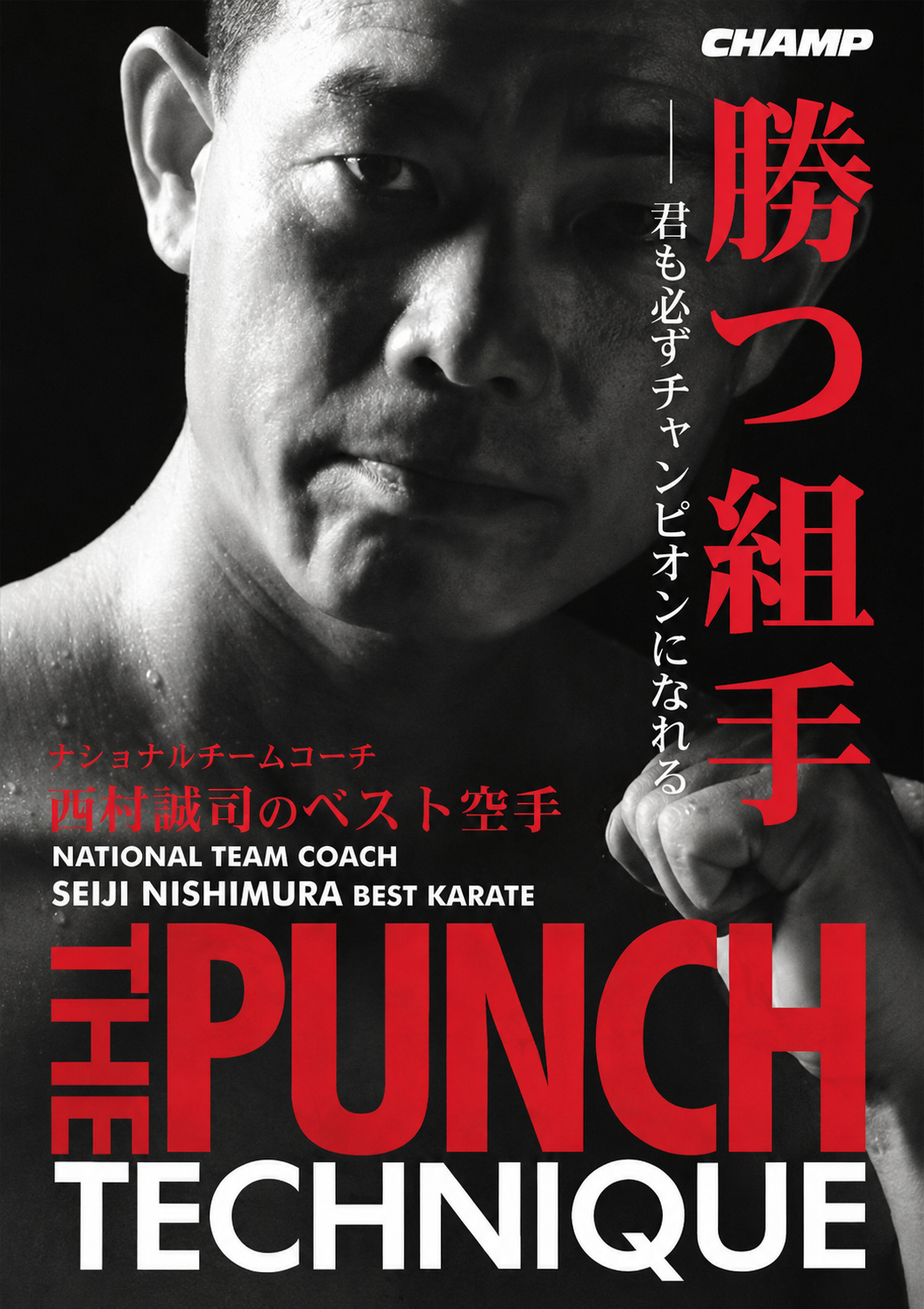 Seiji Nishimura Best Karate: Punch Techniques DVD