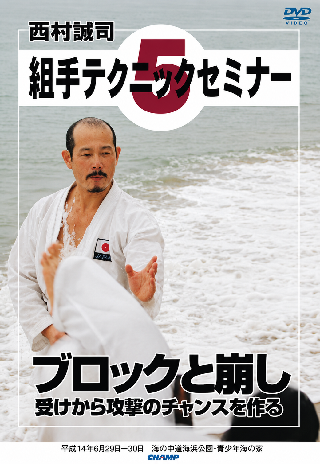Seiji Nishimura Kumite Seminario de Técnica Vol 5 DVD
