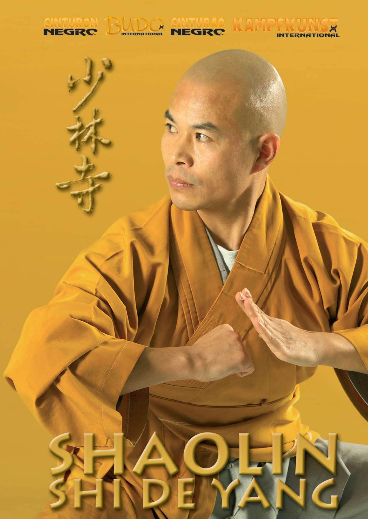 Shaolin Kung-Fu Shi De Yang Interview DVD with Shi de Yang
