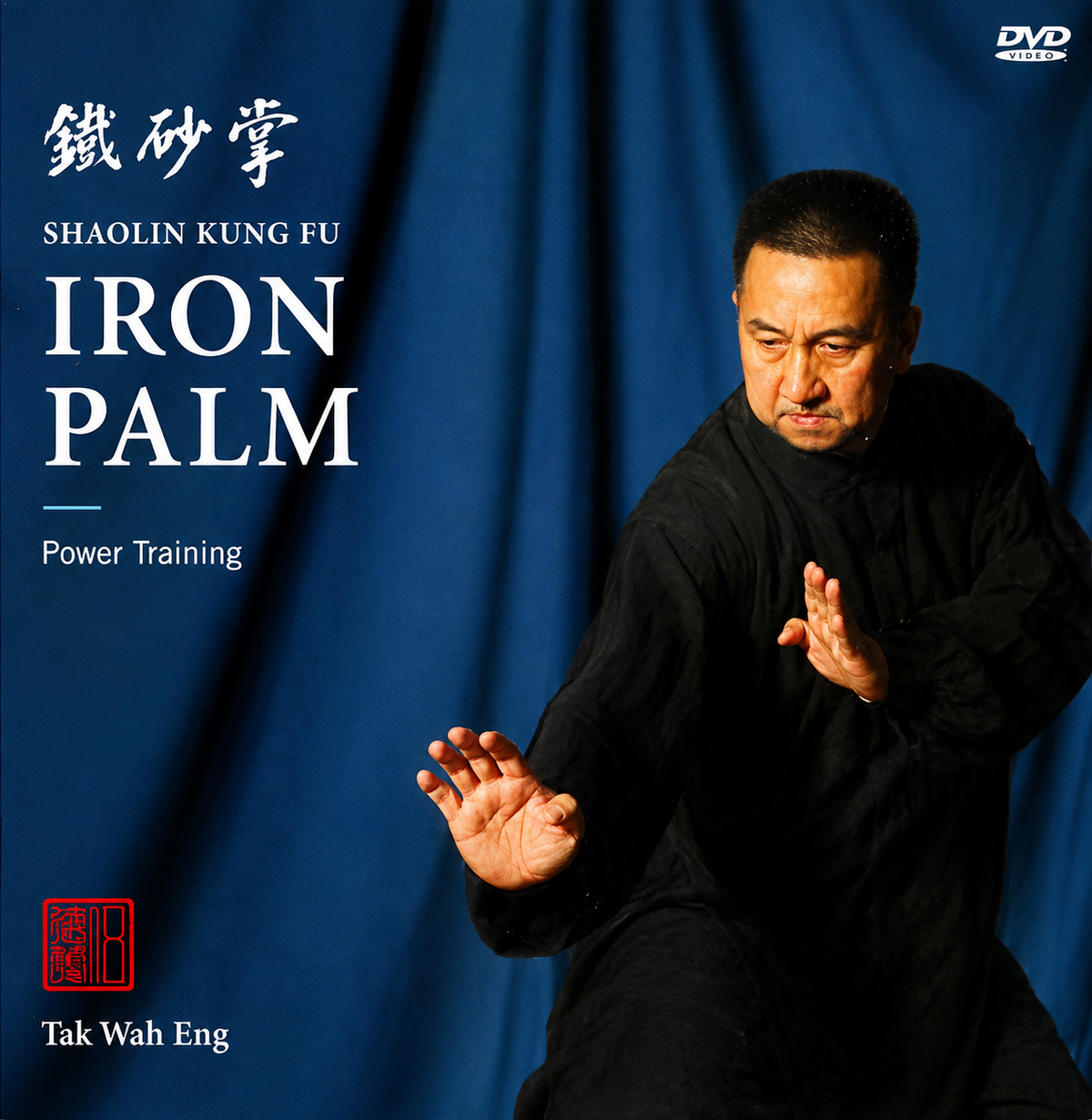 Shaolin Kung Fu Iron Palm Power Training DVD by Tak Wah Eng