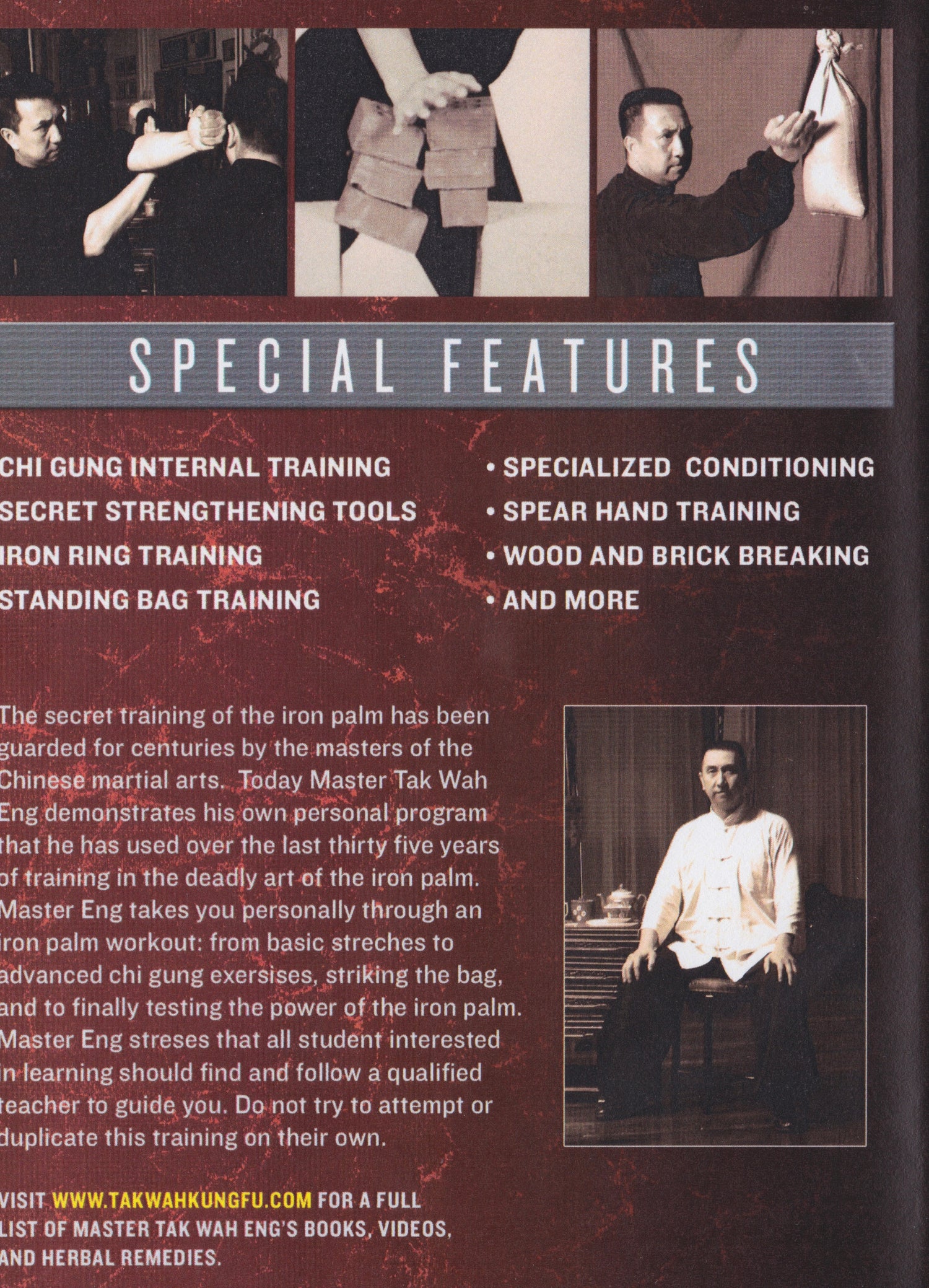 Shaolin Kung Fu Iron Palm Power Training DVD by Tak Wah Eng (Preowned)