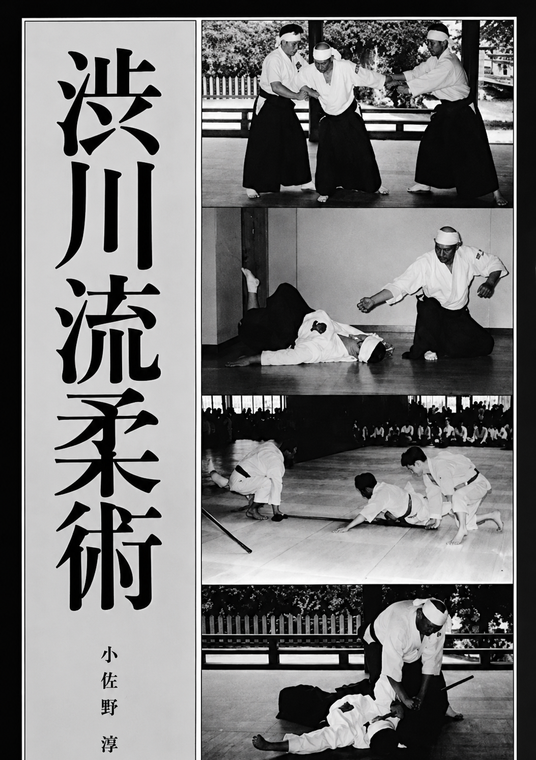 Shibukawa Ryu Jujutsu Book by Jun Osano (Preowned)