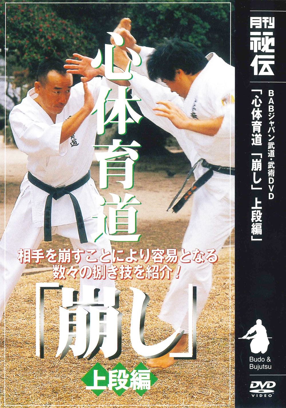 Shintaiikudo Karate DVD 2 by Makoto Hirohara