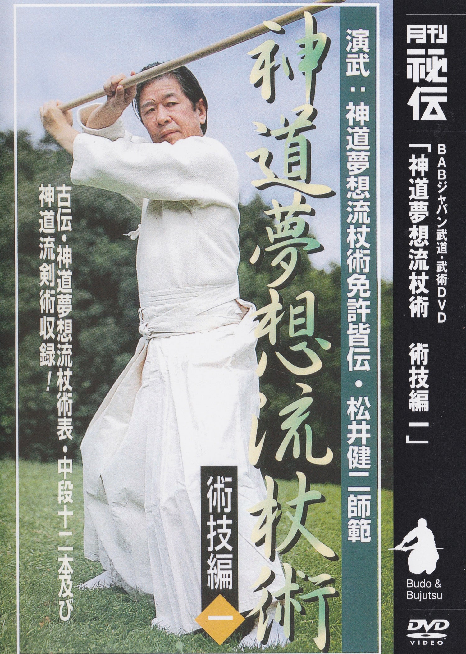 Shinto Muso Ryu: Technical Skills Vol 2 by Kenji Matsui DVD