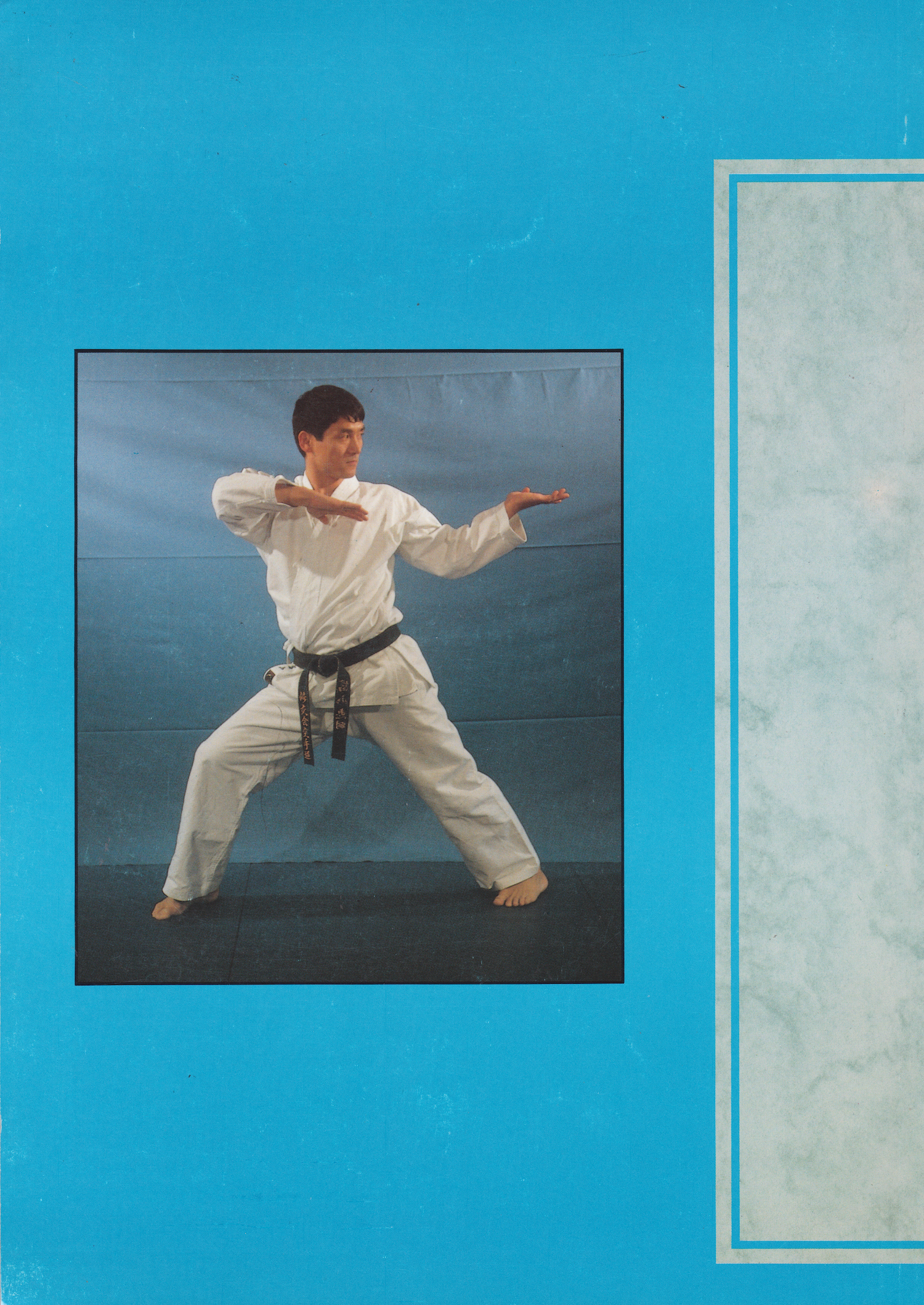 Shito Ryu Karate Do Vol 1 Basics Book by Keiji Tomiyama (Preowned)