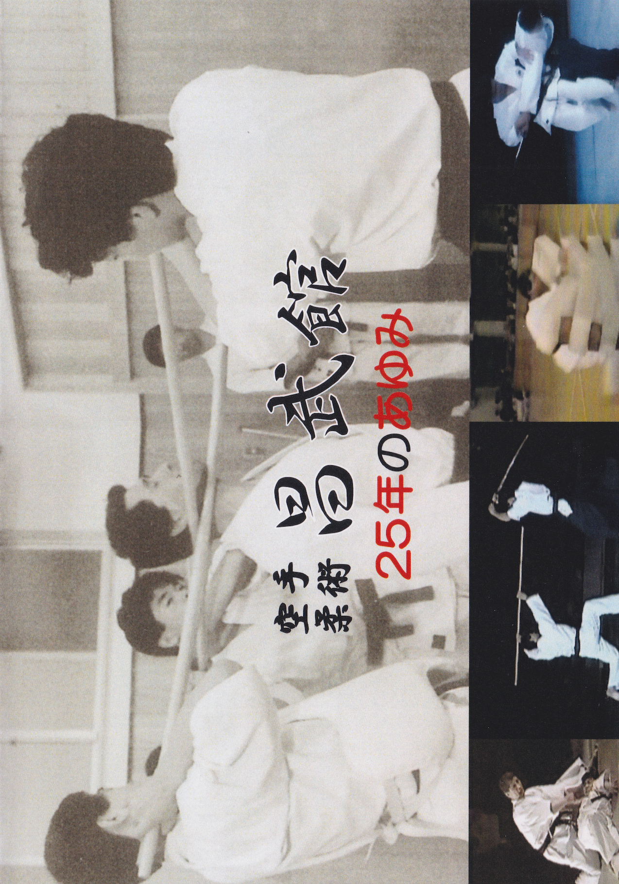 Shobukan Dojo 25 Years of Progress DVD (Preowned)