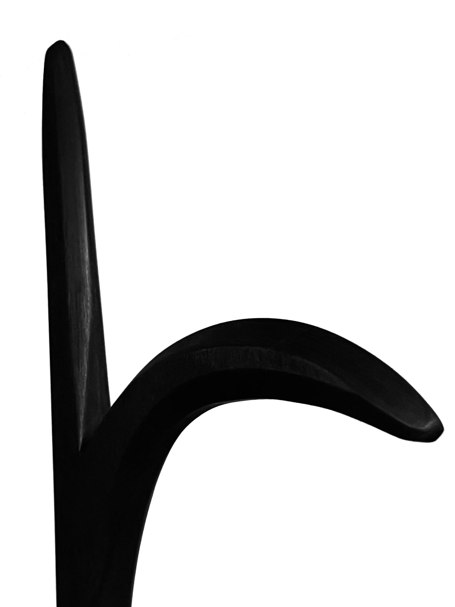 Ninja Training Kyoketsu Shoge V4